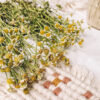 小花編織杯墊Workshop