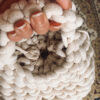 法式小胖包 - 刺繡加購 (限報名學員加購)